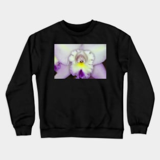 Cymbidium Orchid in Macro Crewneck Sweatshirt